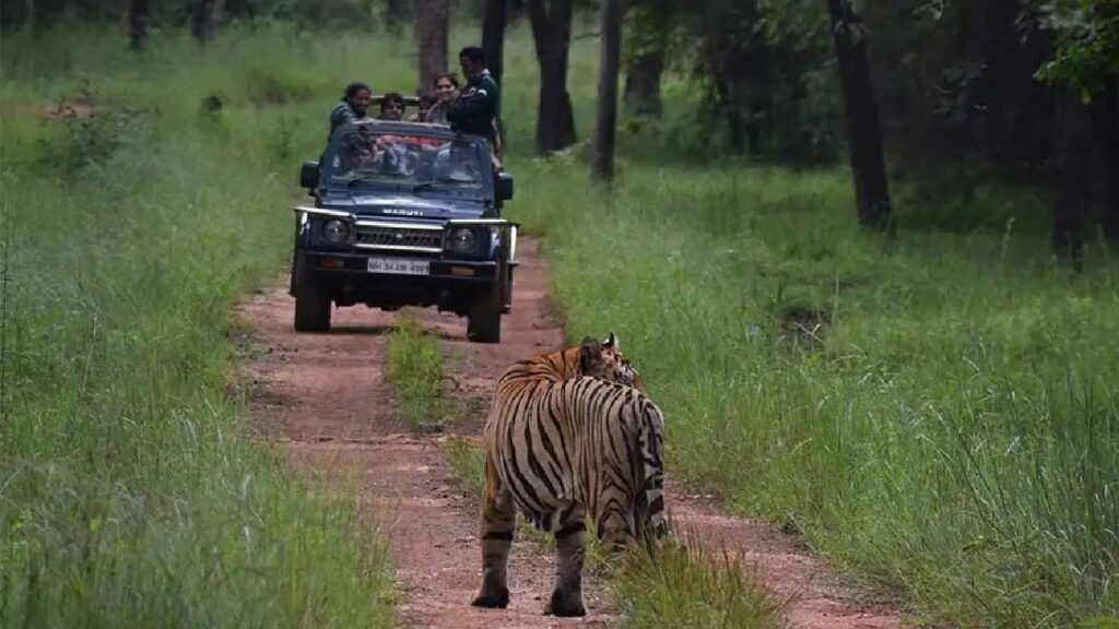 n6772237761755500015644d3de09115aa715e5e5712775b98ac24a93e63b3def8b2445b48af73b4f784bb9