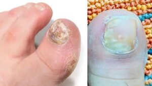 n677388040175566523991919fcfd6ed0790902f79b9e3009cc2ac626b0aca29c12d1648db59c11d465295b