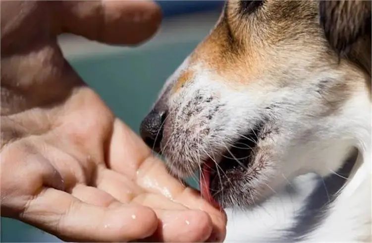 n6775860521755699893486298826978d49d4b9a126878732f106aee3e3fc730ee4e8d3891efa954a72f757