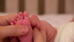 n678826920175647093247029e230f569e135545928d6b092c1594dffc86b48de817e3bc84165cb7a7d1a32