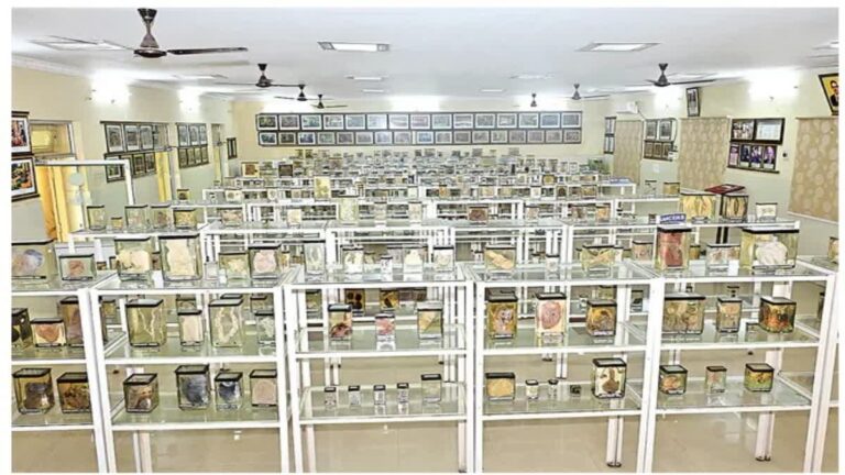 ತಿರುಪತಿಯಲ್ಲಿದೆ ಏಷ್ಯಾದ ಅತಿ ದೊಡ್ಡ ಪಶುವೈದ್ಯಕೀಯ ರೋಗಶಾಸ್ತ್ರ ಮ್ಯೂಸಿಯಂ