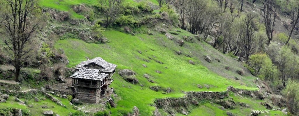 WhatsApp Image 2025-09-13 at 5.10.36 PM (1)