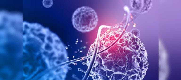 WhatsApp Image 2025-09-29 at 9.30.38 PM