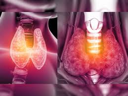 ಥೈರಾಯ್ಡ್