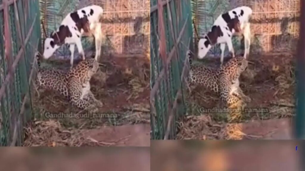 n6816859941758263624000bce70e9f10b6e3613be95fe4c8a7ec851930af58f0d9ae4f94e94335fe2e0268