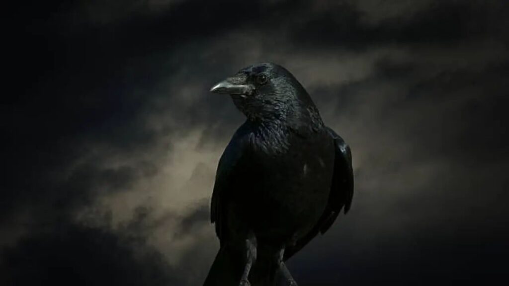 n6817047911758291451700940cbee06e5ad07088dcaf9f945e3cebe301227242618dc13a236e403afc6732