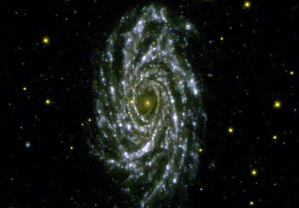 WhatsApp Image 2025-10-03 at 12.13.02 AM