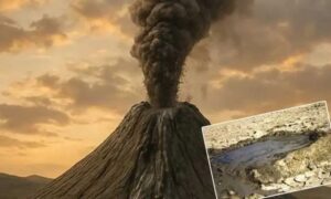 WhatsApp Image 2025-10-04 at 9.44.32 PM