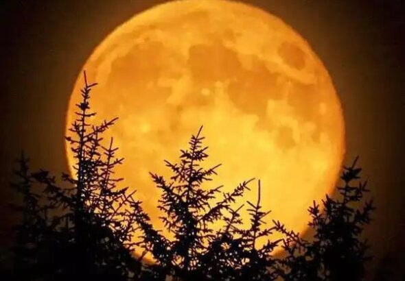 WhatsApp Image 2025-10-06 at 10.09.07 PM