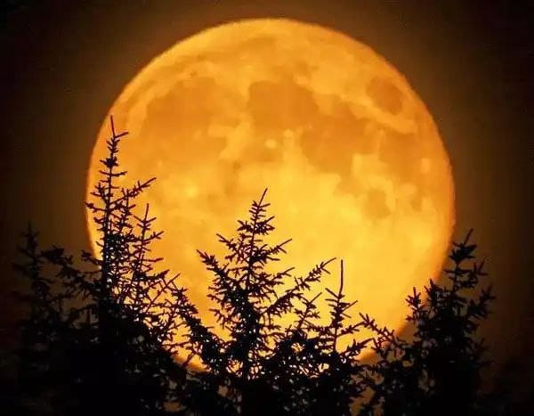 WhatsApp Image 2025-10-06 at 10.09.07 PM