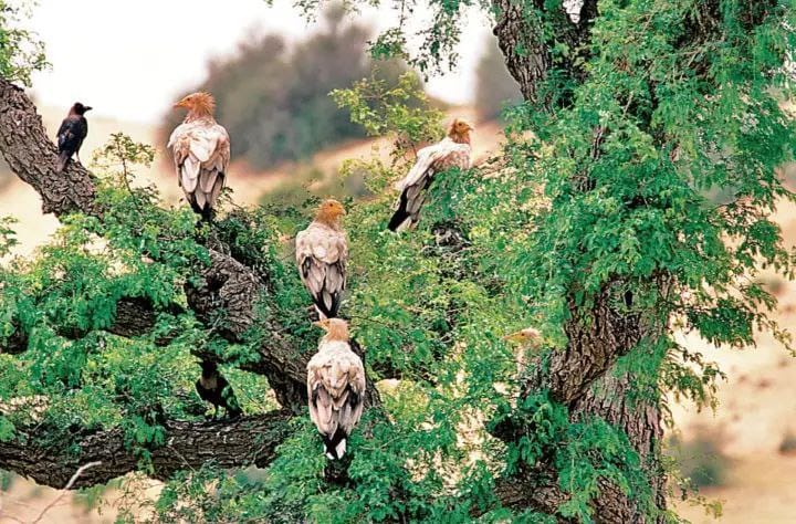 WhatsApp Image 2025-10-07 at 11.42.18 PM