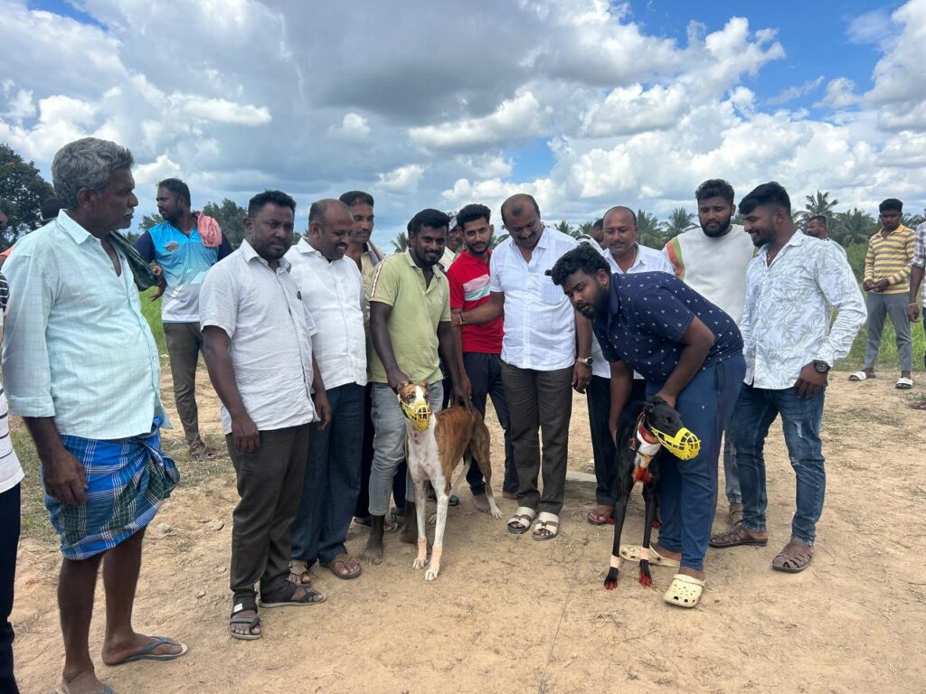 WhatsApp Image 2025-10-08 at 11.00.29 PM