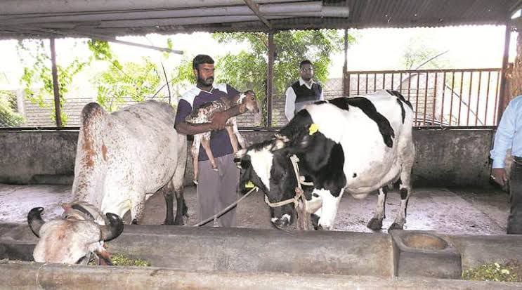 WhatsApp Image 2025-10-11 at 9.01.28 PM