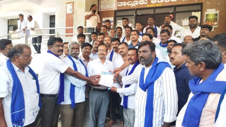 WhatsApp Image 2025-10-13 at 3.44.28 PM