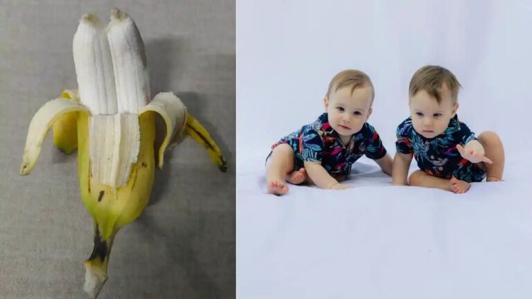 n684431710176008218459503090145078fdee7bba02195542f8b9692ba8c2f90c24ba94404750a479977d0