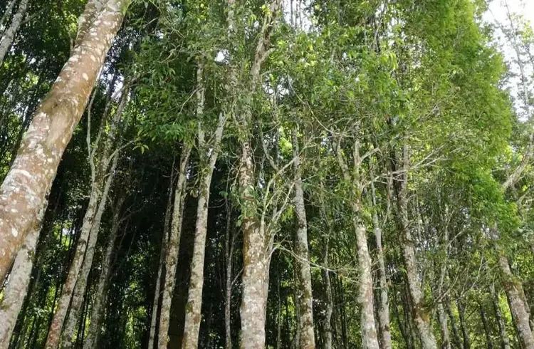 n6856863861760871341369d96248baef6e89c154d8ab60123222a930b65e0dcbfab4a17933a9183d56f615