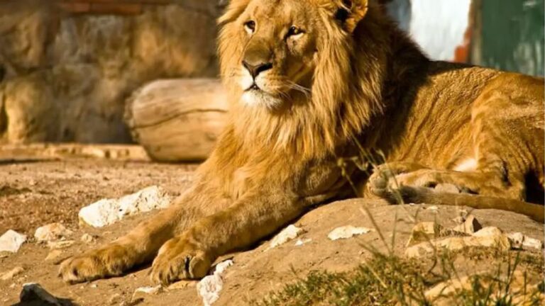 n68630340417613807755547729e1a5c77639a5b2f6623eb133319b3ff5423a6f2de8952764e2d6d82bfe91