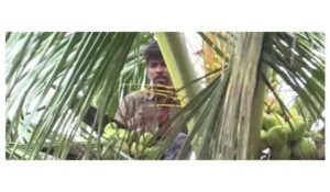 n6867555671761646984068d91a9296c66ca2387c952dd00c6c162977527de9e060d5adc70be219572b41ac