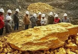 n686864833176172526398446dbd604f2c2ce533d4cd5471620f18fd4cd36fc2f03aa6a2abce5430715361f