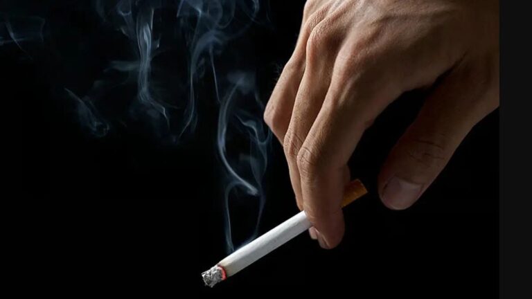 WhatsApp Image 2025-11-08 at 10.29.12 PM