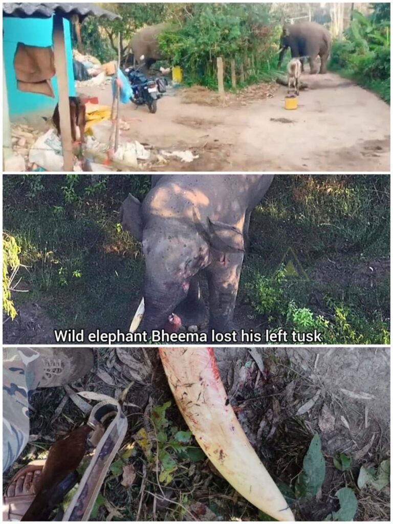 WhatsApp Image 2025-11-09 at 5.49.02 PM