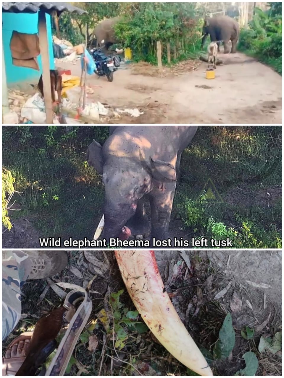 WhatsApp Image 2025-11-09 at 5.49.02 PM