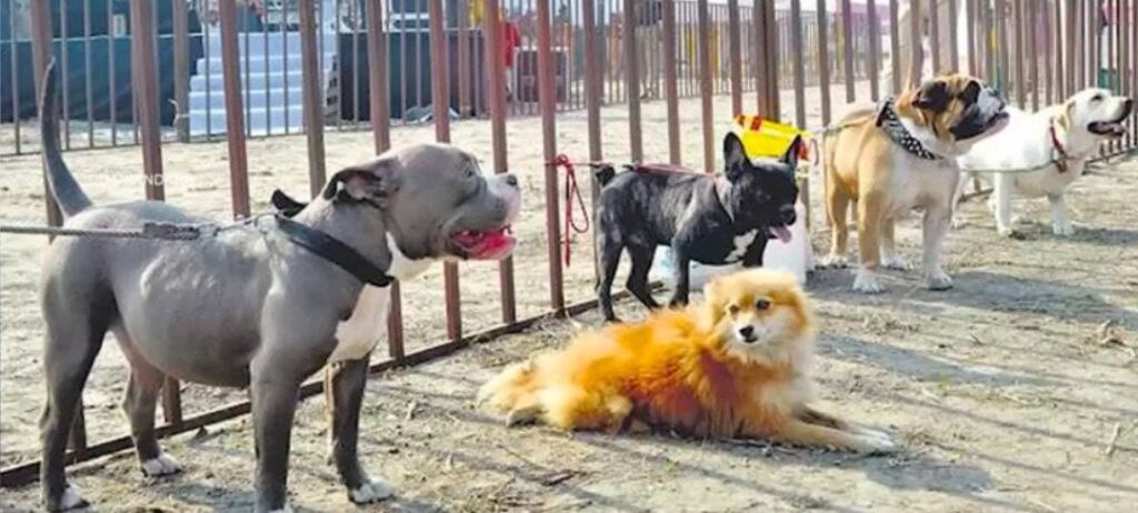 WhatsApp Image 2025-11-15 at 10.24.27 PM