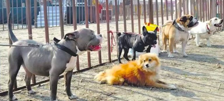 WhatsApp Image 2025-11-15 at 10.24.27 PM