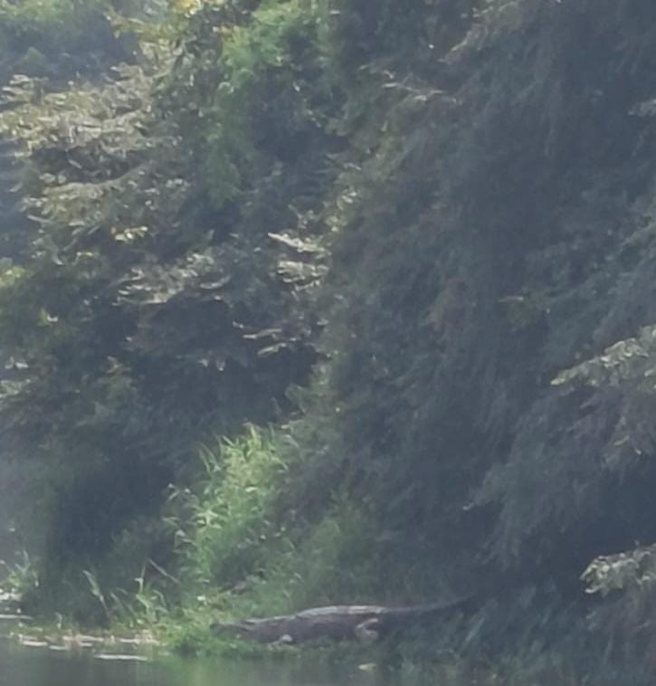 WhatsApp-Image-2025-11-17-at-4.38.56-PM-1