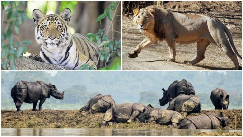 WhatsApp Image 2025-11-17 at 9.58.12 PM (1)