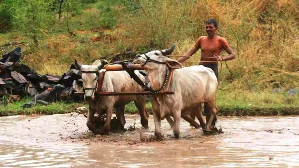 WhatsApp Image 2025-11-18 at 9.57.42 PM