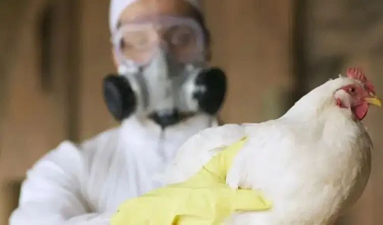 WhatsApp Image 2025-11-29 at 8.28.25 PM