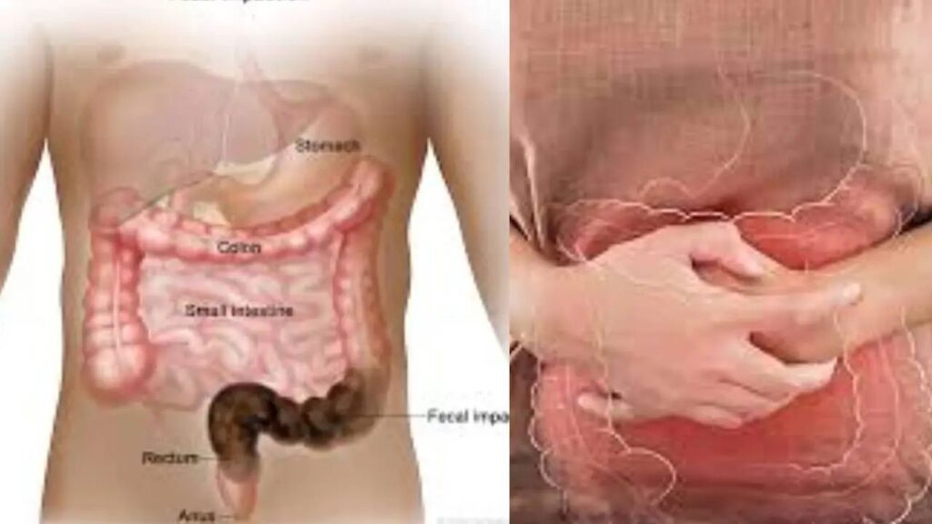 n6907915941764297244481be7997aec36e0dec794be081c7f648573d3e2415a5d0dd01c7545a53c6092ec6