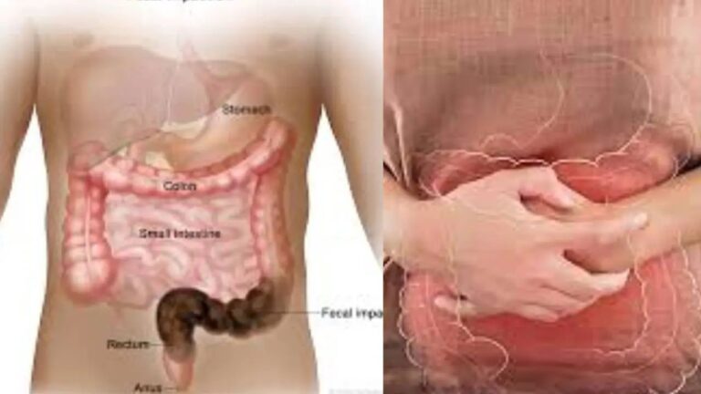 n6907915941764297244481be7997aec36e0dec794be081c7f648573d3e2415a5d0dd01c7545a53c6092ec6