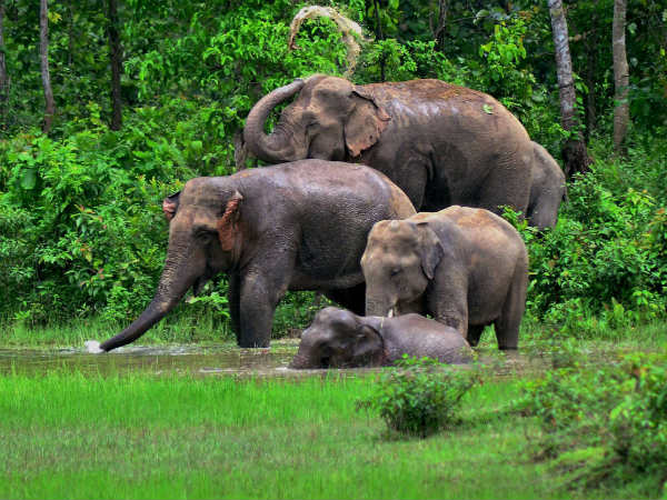 09-1481274971-4memory