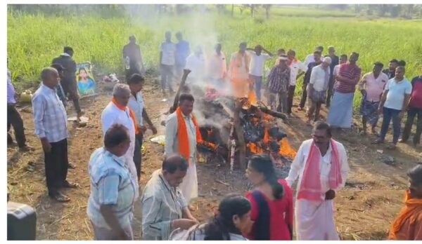 192c6774-3d39-478f-ab12-43fd48394197