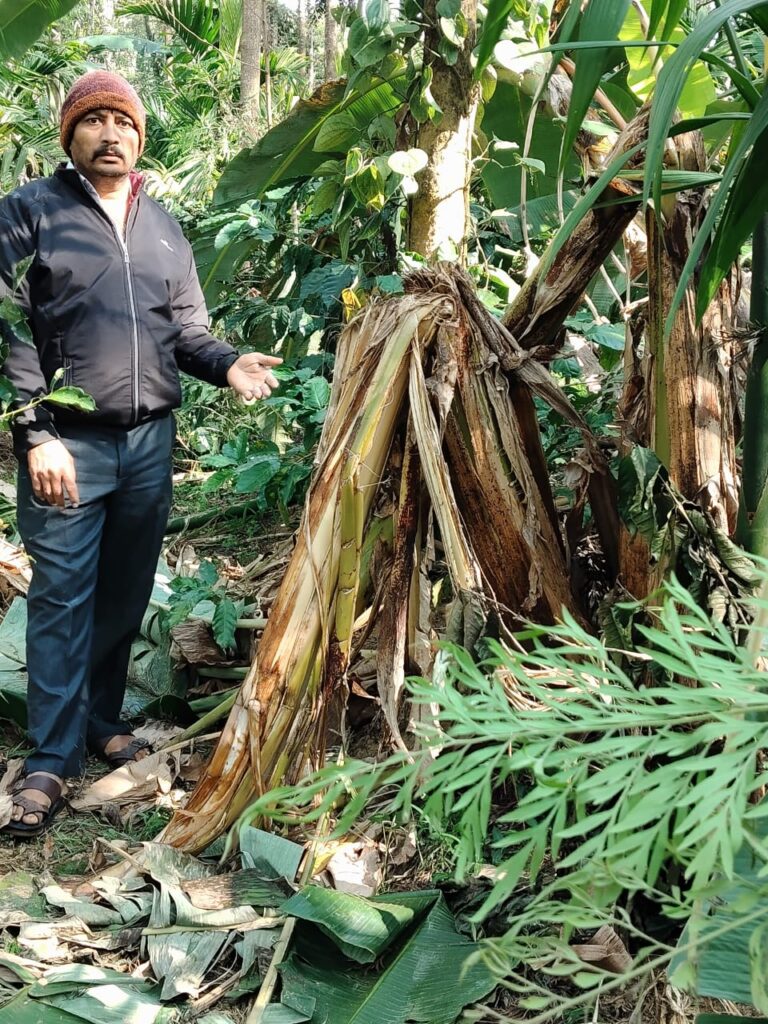 WhatsApp Image 2025-12-13 at 4.21.20 PM