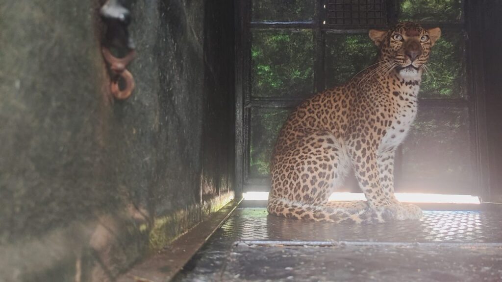 WhatsApp Image 2025-12-27 at 9.07.44 PM