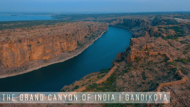 7597637c-3331-44d4-831f-3a24958f4e6f