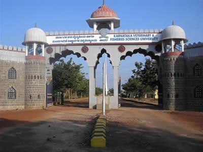 WhatsApp Image 2026-01-05 at 3.08.04 PM