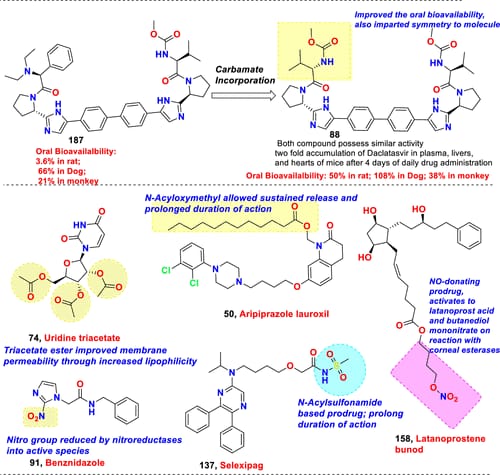 WhatsApp Image 2026-01-07 at 4.30.15 PM
