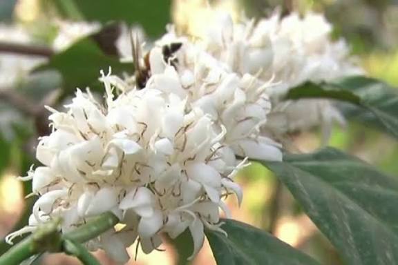 WhatsApp Image 2026-01-10 at 11.06.11 PM