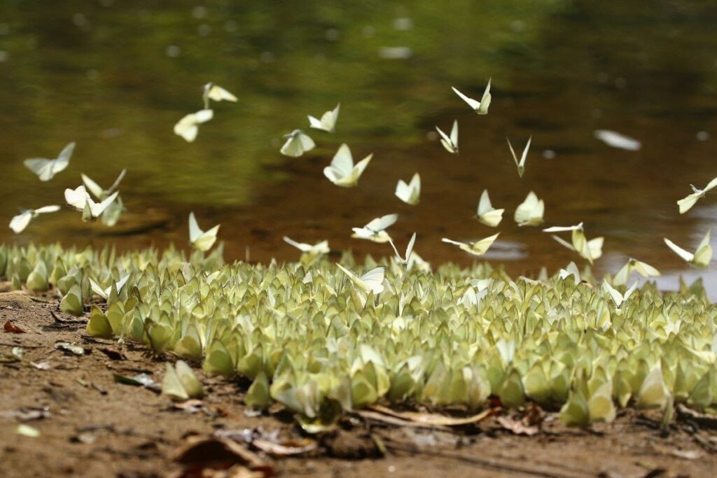 WhatsApp Image 2026-01-15 at 5.20.48 PM