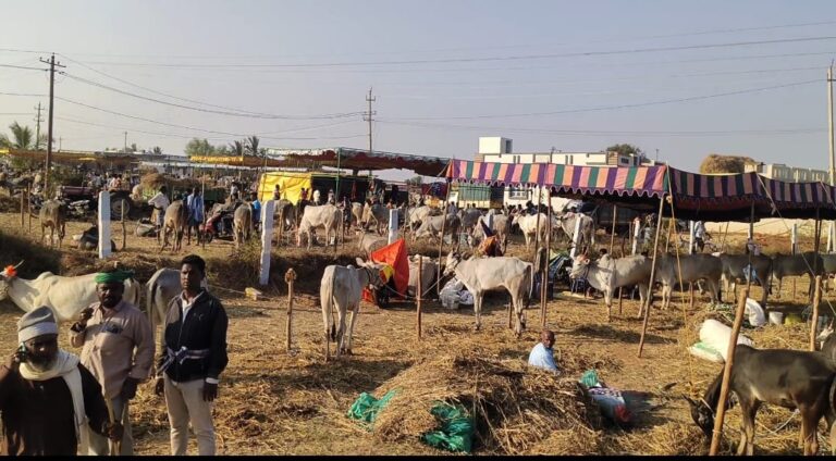 WhatsApp Image 2026-01-18 at 9.02.56 PM (1)