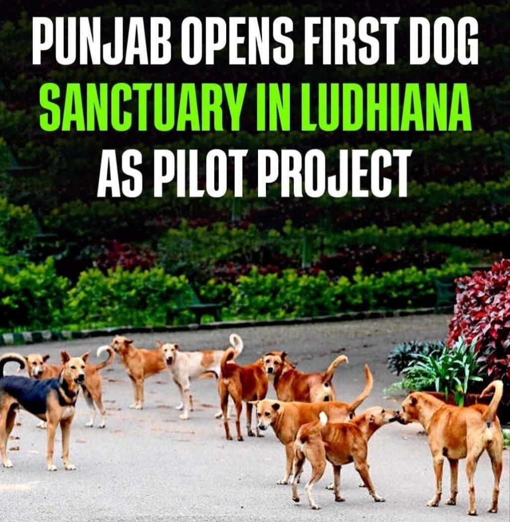 WhatsApp Image 2026-01-23 at 9.18.26 AM