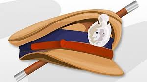 download - 2026-01-29T184419.026