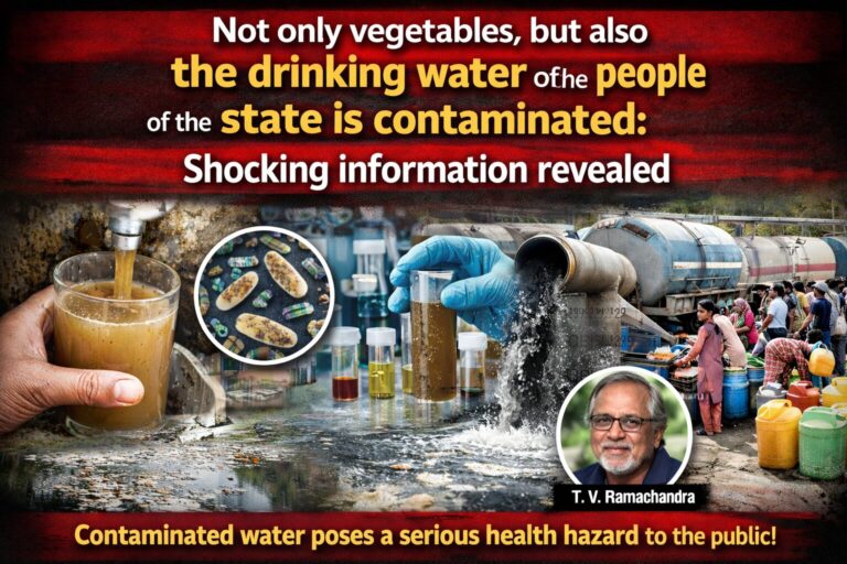 13f6fe5c-8767-4b66-9a27-636aa440030f