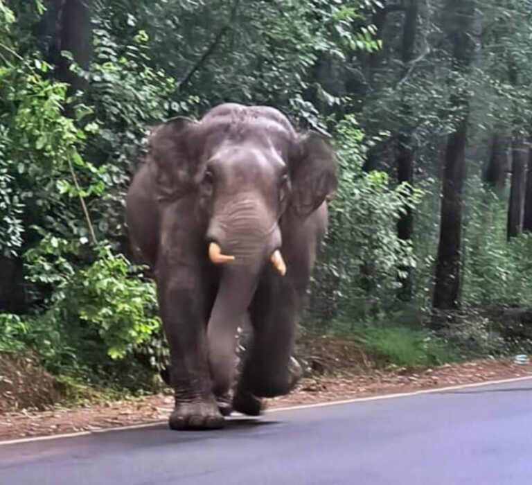 WhatsApp Image 2026-02-02 at 3.03.25 PM