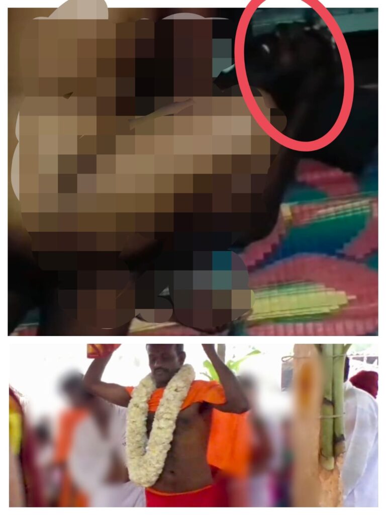 WhatsApp Image 2026-02-23 at 7.13.04 PM