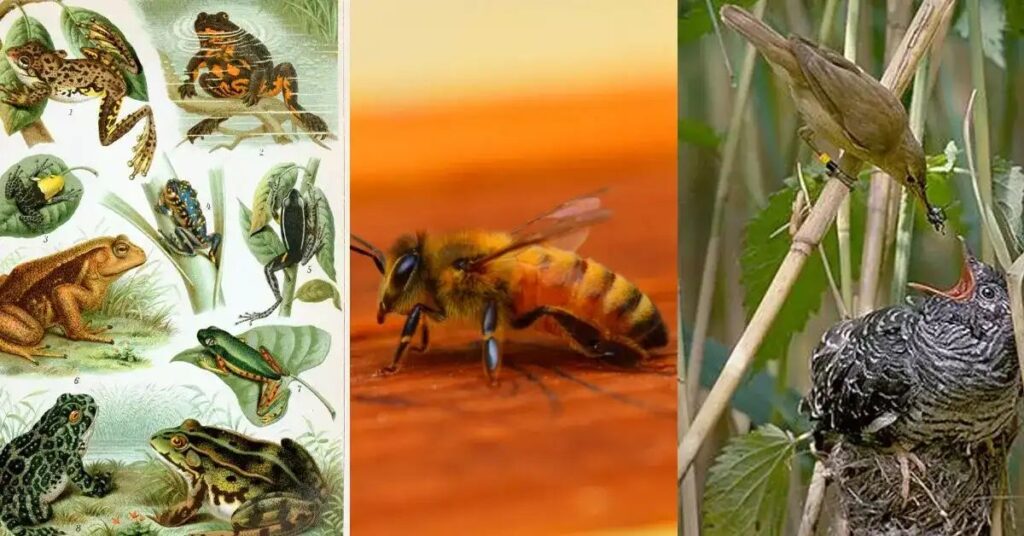 n7018997301771824277489a9d71bcbfe62482d5a6e81862398709cc84f779afbd87552eccf36dba34f864f